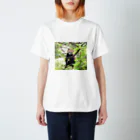 えのころぐさのLesser panda Regular Fit T-Shirt