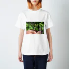 higekenのひまわりの芽 Regular Fit T-Shirt