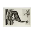 J. Jeffery Print Galleryのディドロ自然史 Stickable Poster :horizontal position