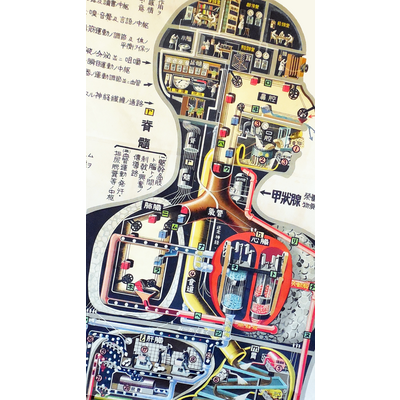 電気と電波