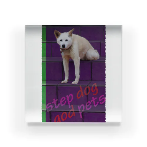  Step dog=God pets Acrylic Block