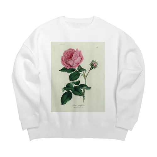 ロサ・センティフォリア Big Crew Neck Sweatshirt