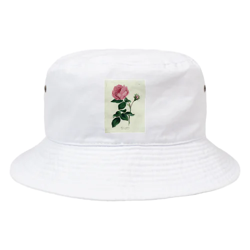 ロサ・センティフォリア Bucket Hat