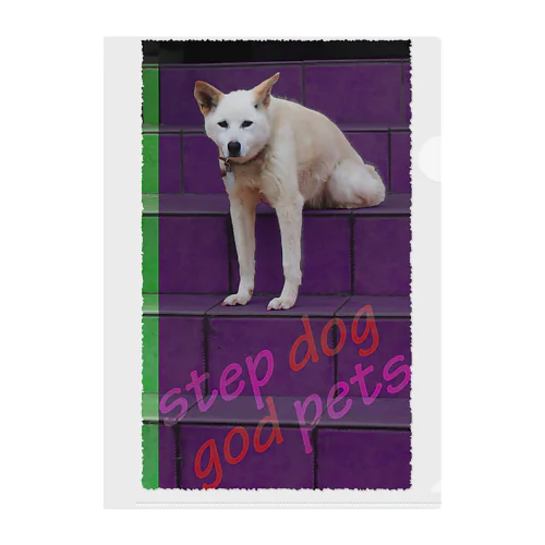  Step dog=God pets Clear File Folder