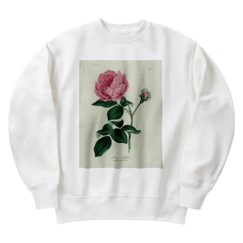 ロサ・センティフォリア Heavyweight Crew Neck Sweatshirt