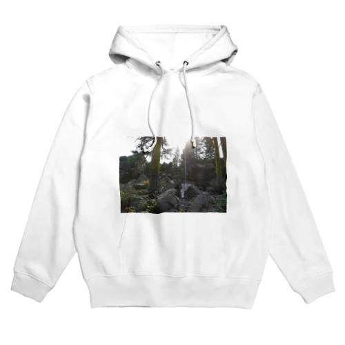 シャスタ・ボルテックス Hoodie