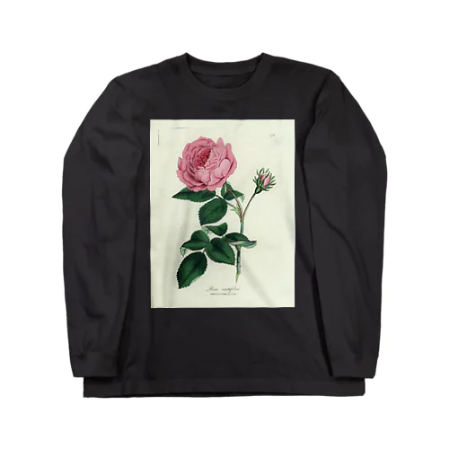 ロサ・センティフォリア Long Sleeve T-Shirt