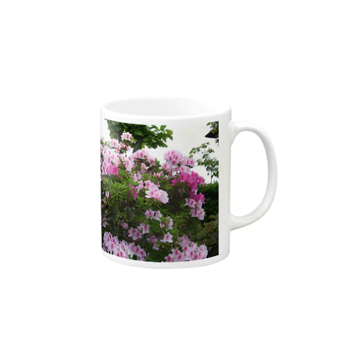 ツツジの４月 Mug