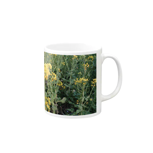 菜の花 Mug