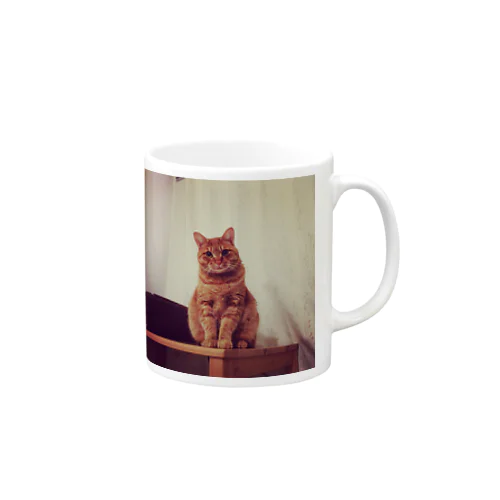 かわいい猫です Mug