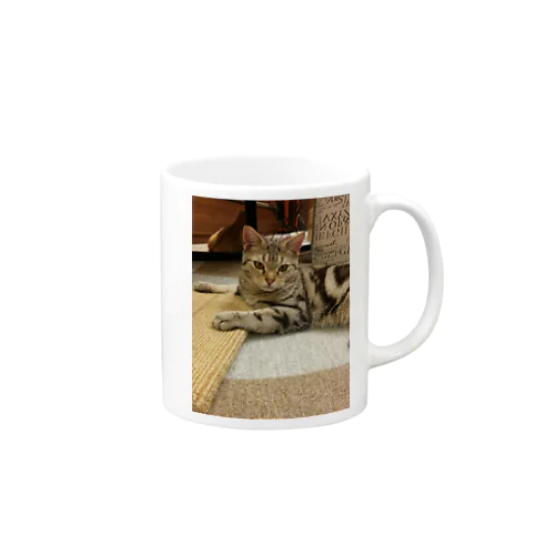 かわいい猫 Mug