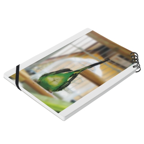 モフシリインコ Notebook