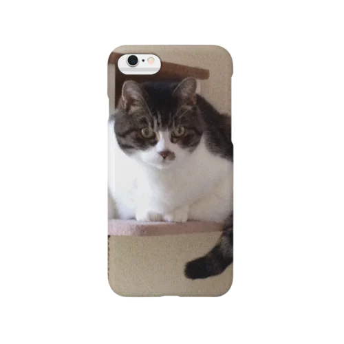 ねこタワーのうちの子 Smartphone Case