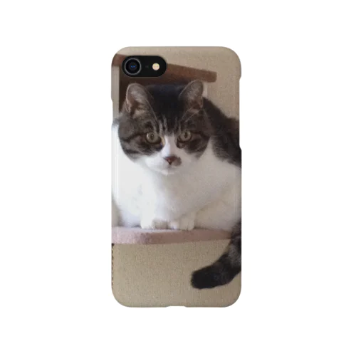ねこタワーのうちの子 iPhone Smartphone Case
