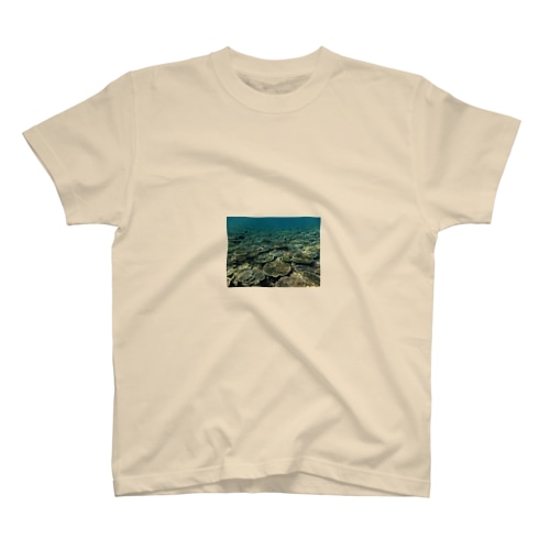 辺野古の海 Regular Fit T-Shirt