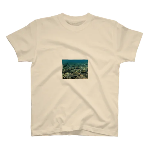 辺野古の海 Regular Fit T-Shirt