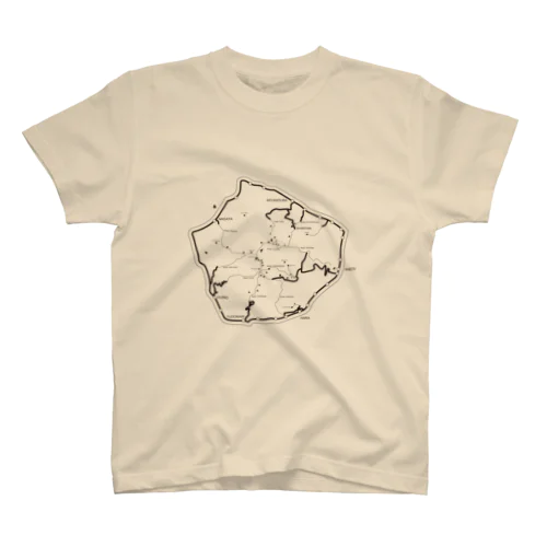 ASCEND A YAKUSHIMA スタンダードTシャツ