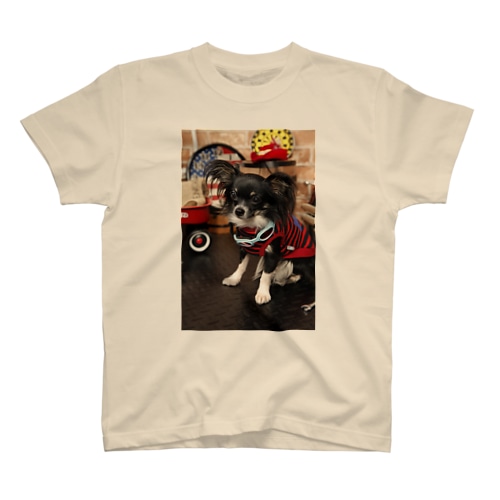Berry Regular Fit T-Shirt