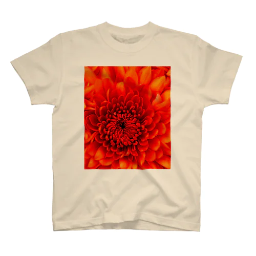 flower Regular Fit T-Shirt