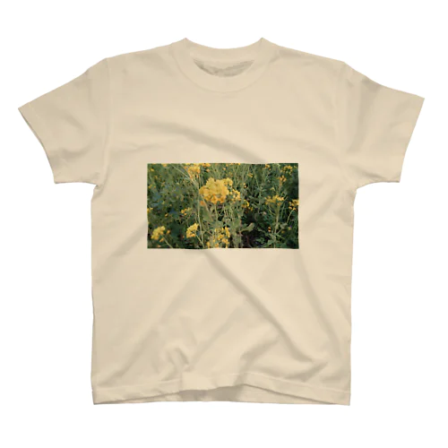 菜の花 Regular Fit T-Shirt