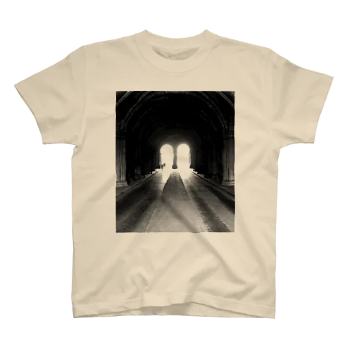 ARCHWAY UNDER RIJKSMUSEUM IN AMSTERDAM Regular Fit T-Shirt