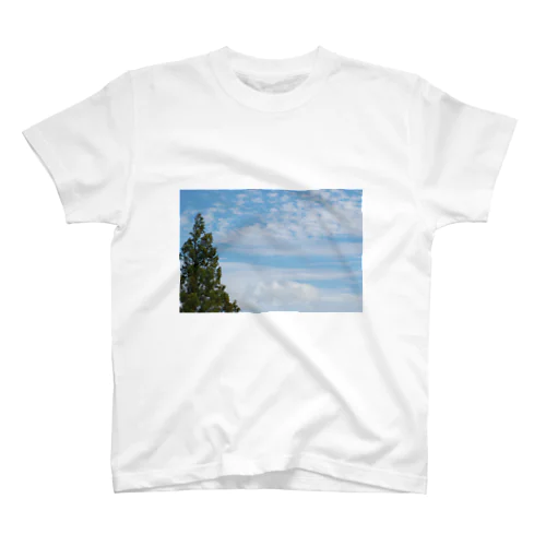 blue sky Regular Fit T-Shirt