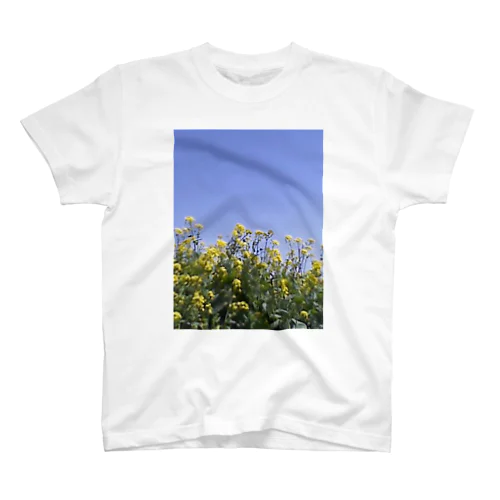 菜の花、良い天気 スタンダードTシャツ