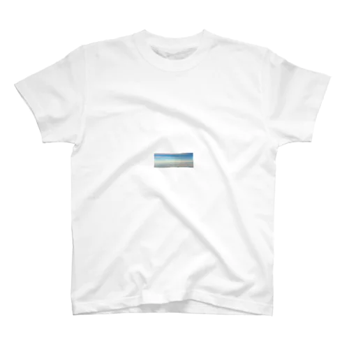 Tシャツ Regular Fit T-Shirt