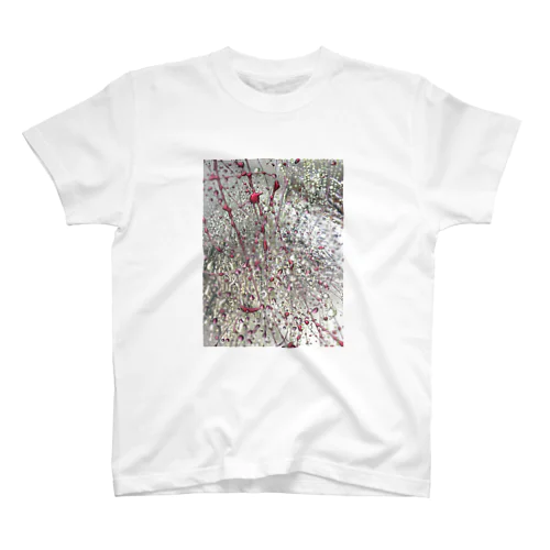 absence-existence-region_不在-存在領域 スタンダードTシャツ