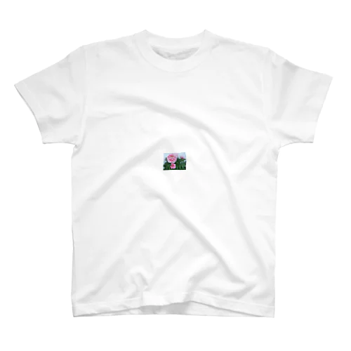 ぼたまぐ Regular Fit T-Shirt