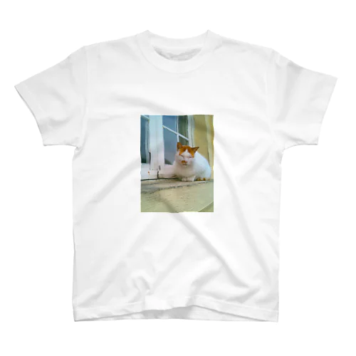 マルタ猫の幸福(ブサカワ) Regular Fit T-Shirt