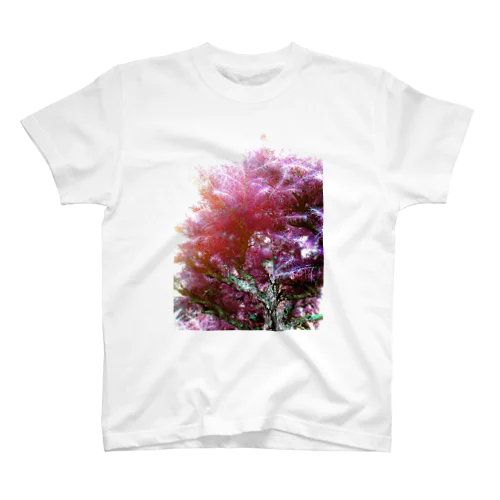樹木 티셔츠
