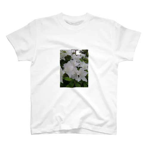 Flower Regular Fit T-Shirt