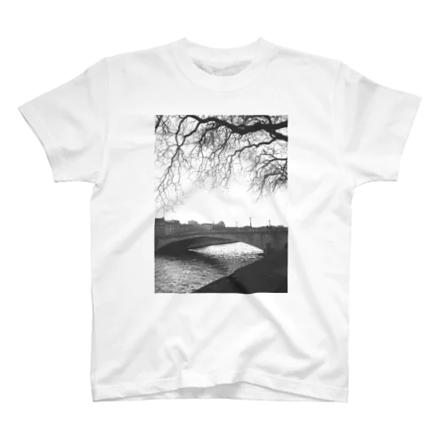 bridge Regular Fit T-Shirt