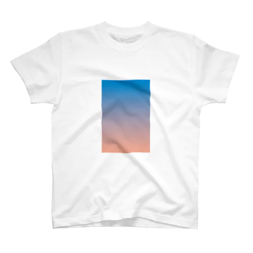 TRICOLORE Regular Fit T-Shirt