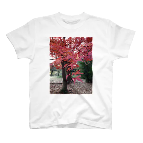 紅葉 スタンダードTシャツ