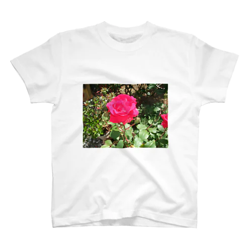 薔薇 スタンダードTシャツ