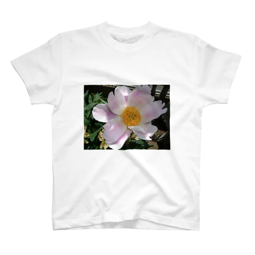 芍薬 スタンダードTシャツ