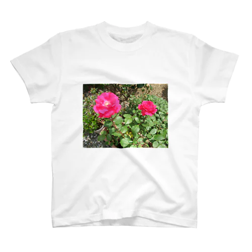 薔薇Ver.2 スタンダードTシャツ