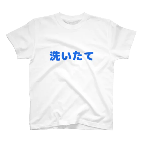 洗いたてTシャツ スタンダードTシャツ