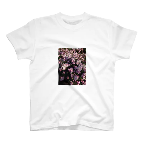 桜木（薔薇） Regular Fit T-Shirt