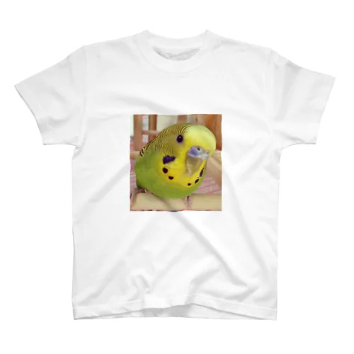 セキセイインコ スタンダードTシャツ