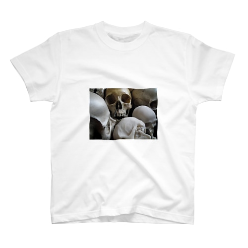 頭蓋骨たち Regular Fit T-Shirt