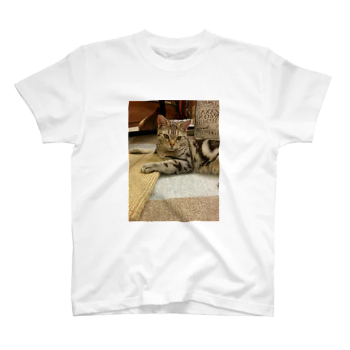 かわいい猫 スタンダードTシャツ