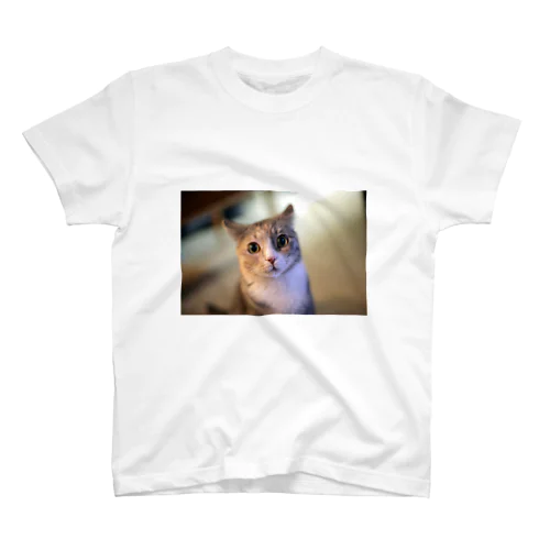 見つめるネコ Regular Fit T-Shirt