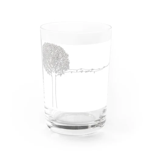 木陰 Water Glass