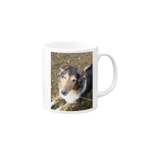 wanko Mug