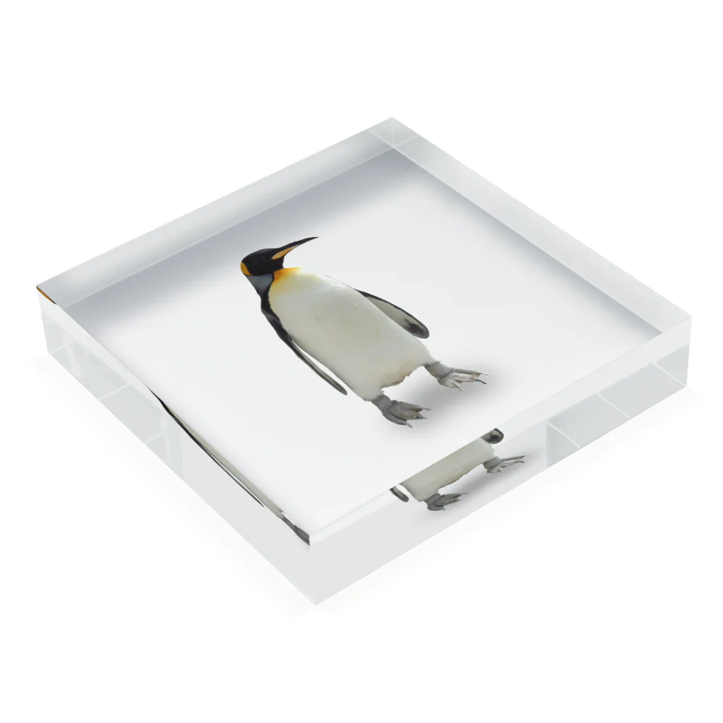 下田村のキングペンギン Acrylic Block :placed flat
