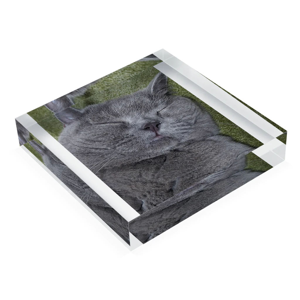 ねこのきまぐれのすやすやブルー Acrylic Block :placed flat