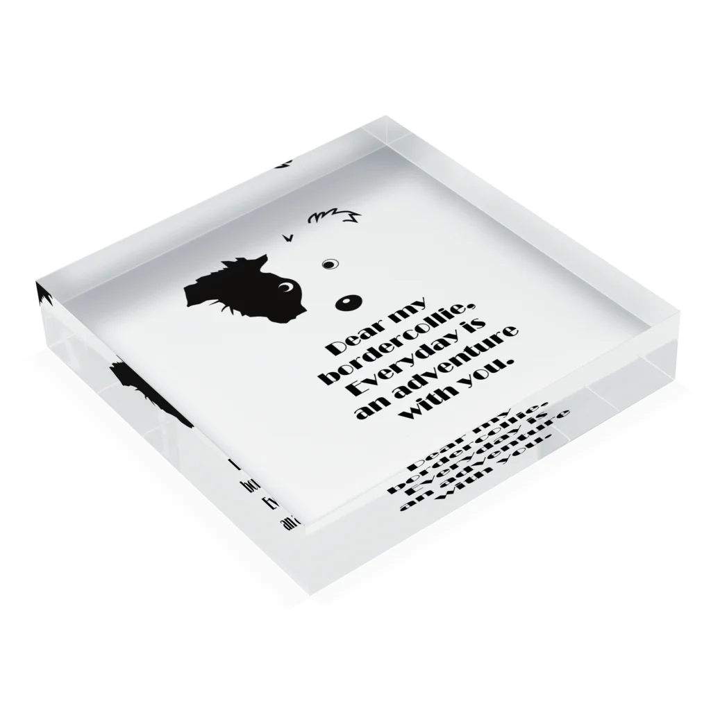 Bordercollie StreetのBorder Collie N9 Acrylic Block :placed flat